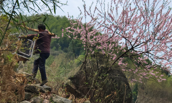jdb电子游戏(中国)官方网站